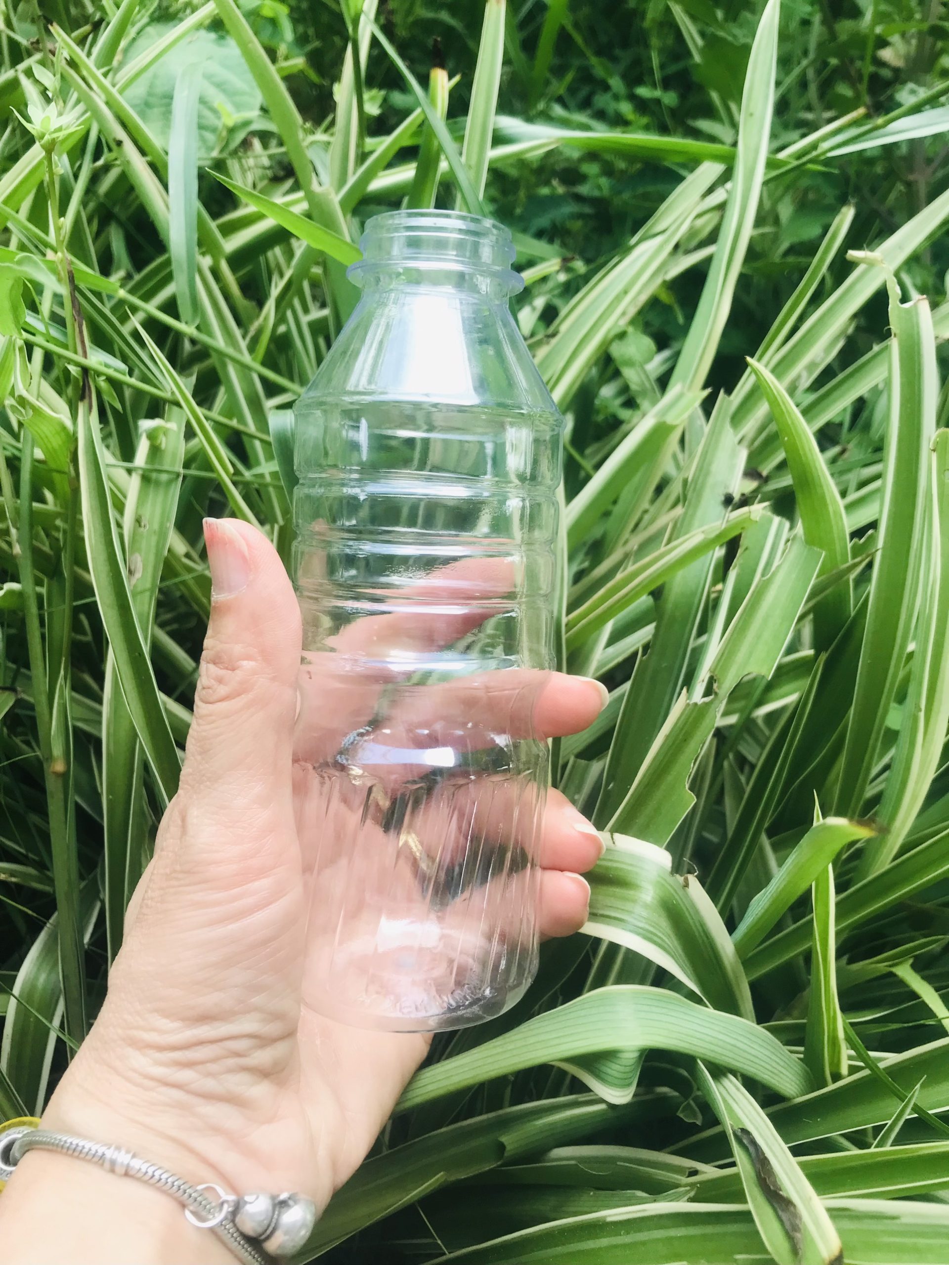 Chai nhựa Zamio 350ml